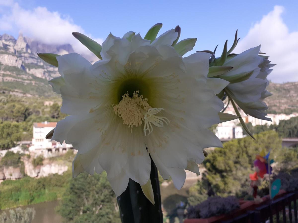 Piso Con Desayuno Incluido Y Vistas A La Montana. Apartment Monistrol de Montserrat Ngoại thất bức ảnh